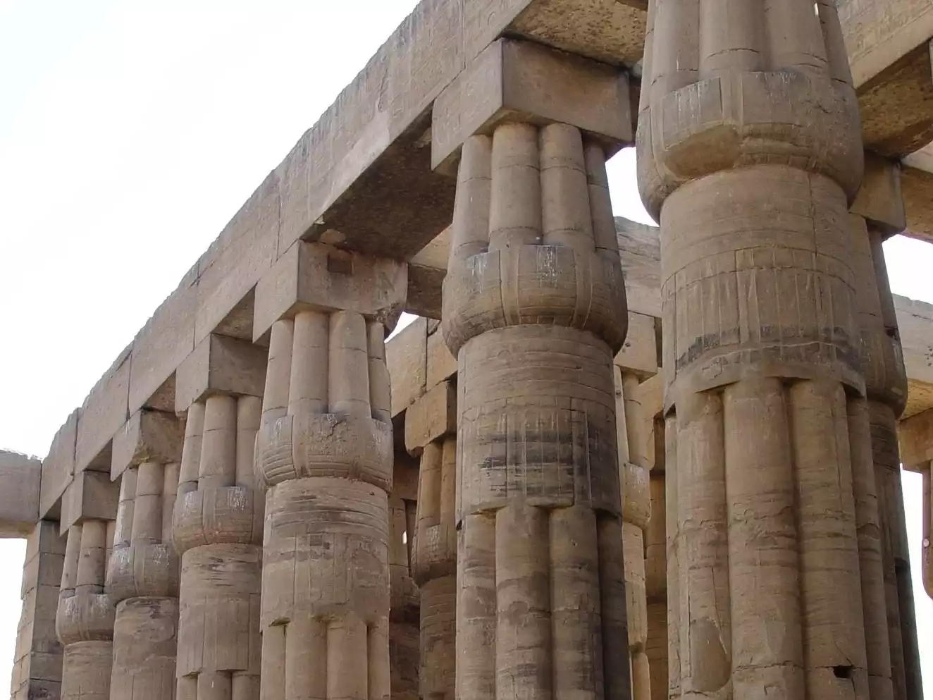 Lotiform-pillars-in-Luxor-Temple