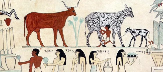 Ancient Egypt Animals