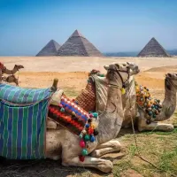 Cairo Excursions From Hurghada By Bus