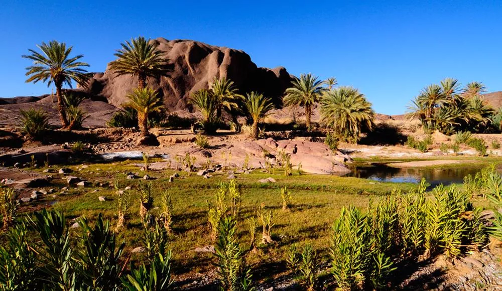 Moroccan Oases