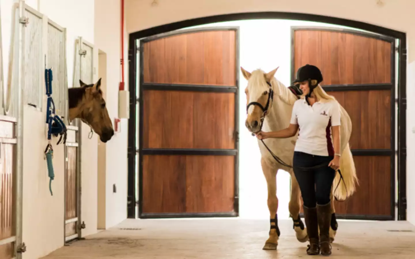 equestrian-centers-and-stables-ask-aladdin