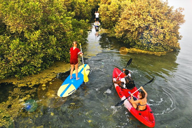 Umm Al Quwain mangrove