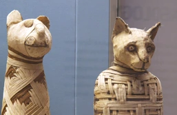 Know More About Ancient Egypt Animals | Ask Aladdin