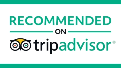 tripadvisor-AskAladdin